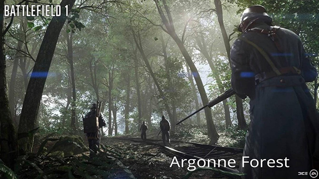Argonne Forest